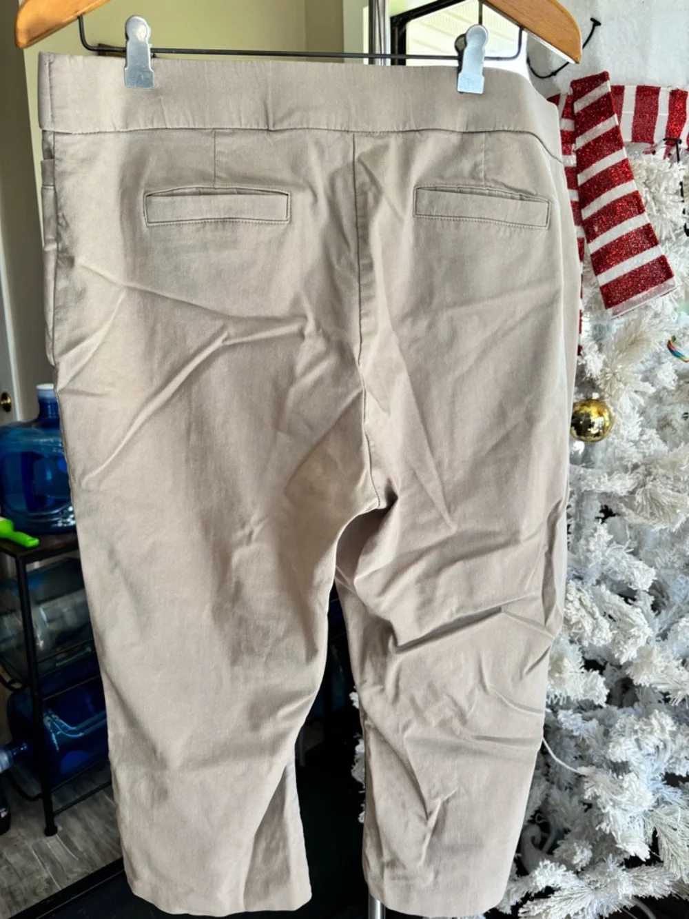 Briggs Beige Casual Cropped Pants- Size 16 GUC - Picture 2 of 3
